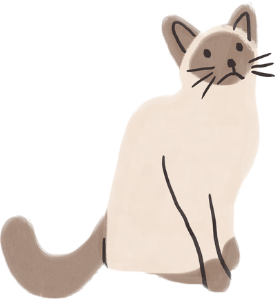 Handdrawn Ragdoll Cat